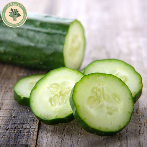 Cucumber