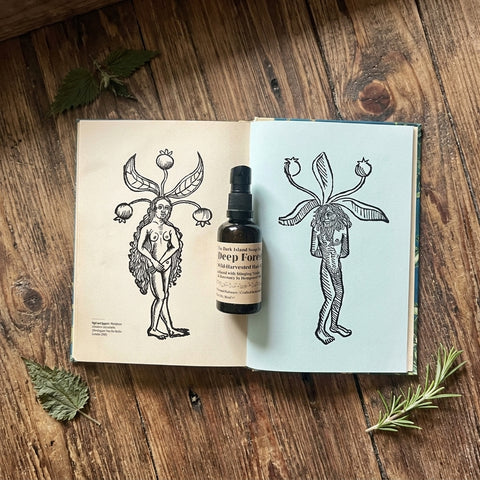 Deep Forest, Wild-Harvested Hair Oil - The Dark Island Soap Co