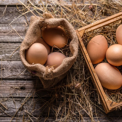 Eggs