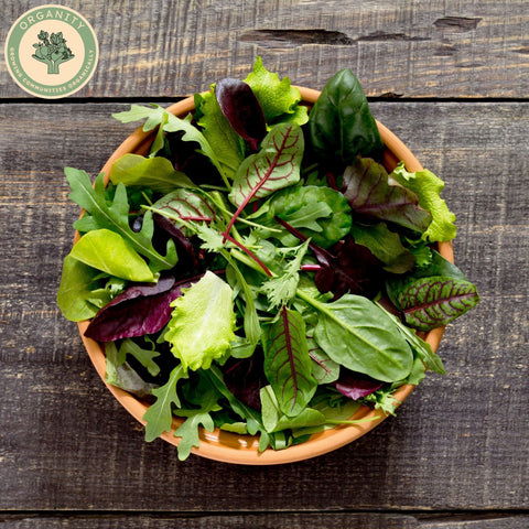 Salad - Mixed Peppery leaves