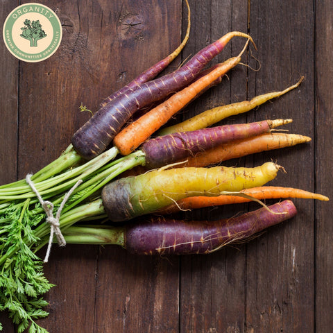 Carrots - Rainbow