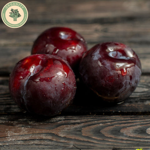 Plums - Seasonal