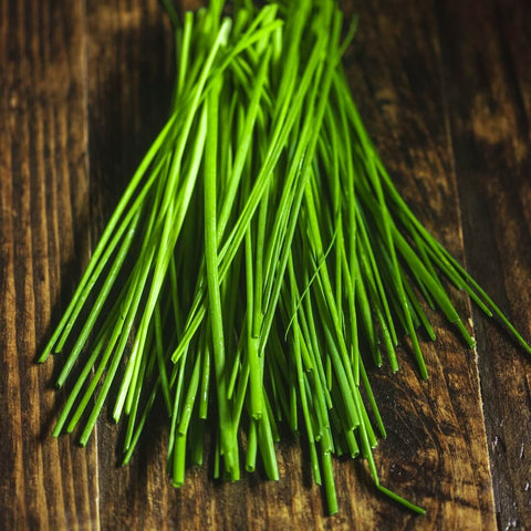 Garlic - Chives