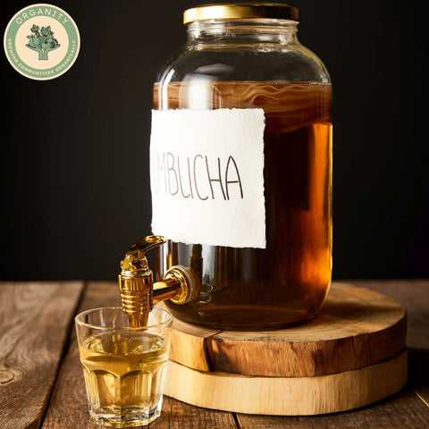 Rena's Fiery Ginger Kombucha