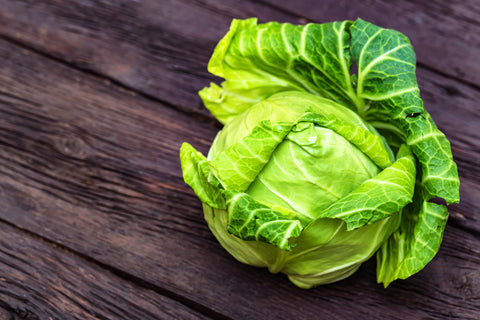Cabbage - Green