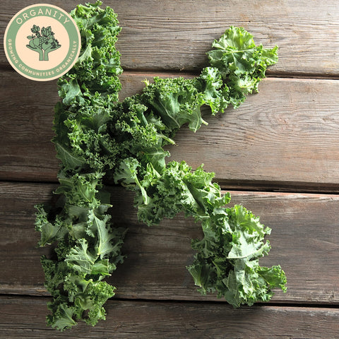 Kale - Curly Green