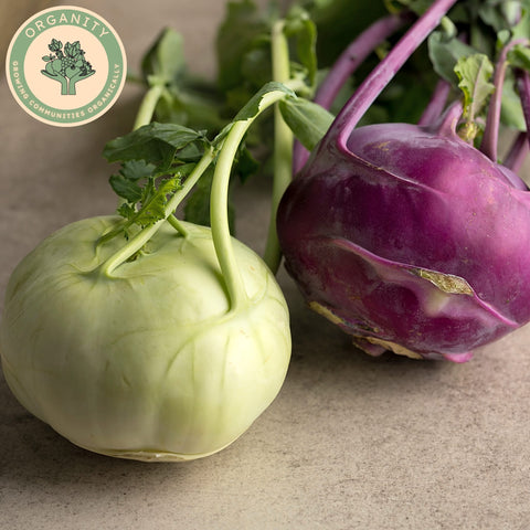 Kohl Rabi - White