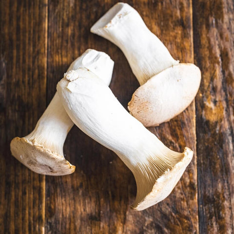 Mushrooms King Oyster