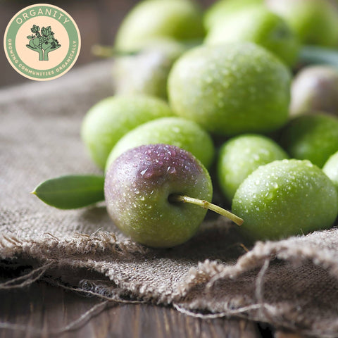 Olives - Green whole