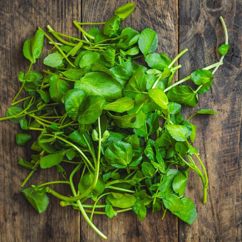 Watercress
