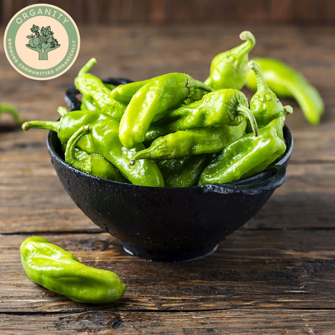 Peppers Padron
