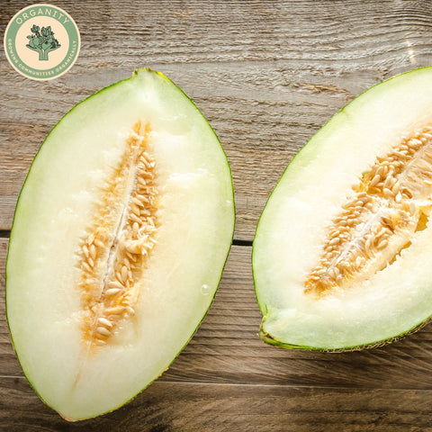 Melon - Cantaloupe