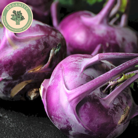 Kohl Rabi - Purple