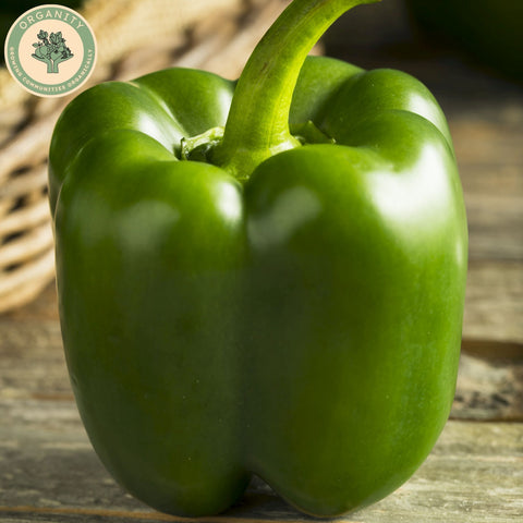 Peppers - Green