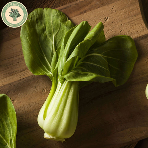 Pak Choi