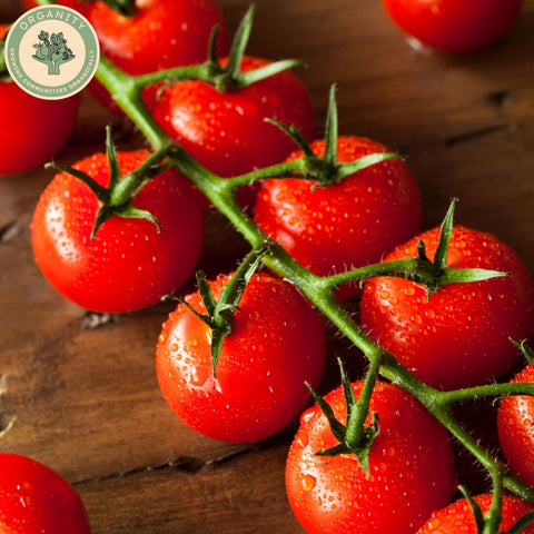 Tomatoes - Cherry Vine