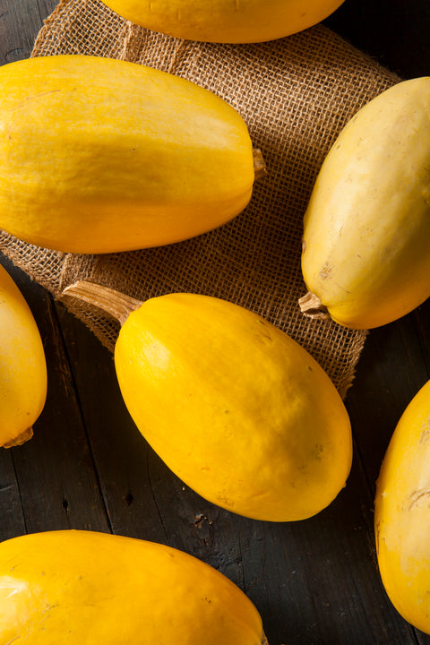 Spagetti Squash
