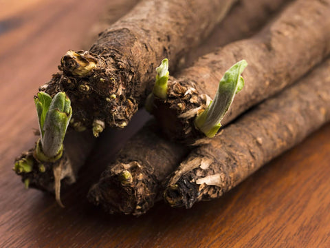 Salsify