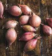 Shallots