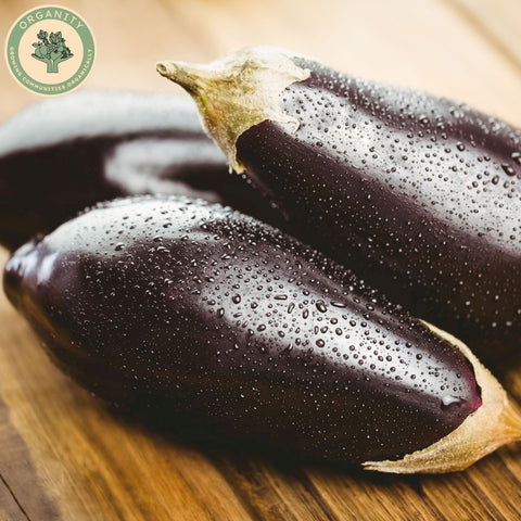Aubergine