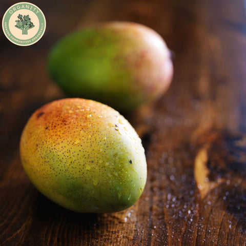 Mango