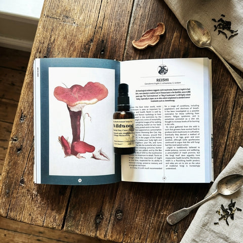 Wildwood, Facial Day Concentrate - The dark Island Soap Co
