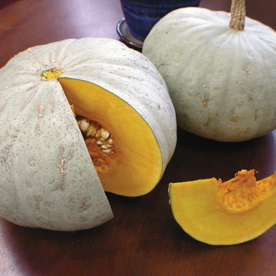 kabocha